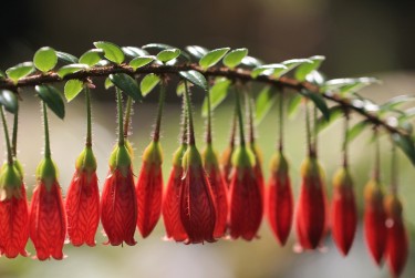 惠州惠城区4私人快速借钱网，轻松解决资金难题