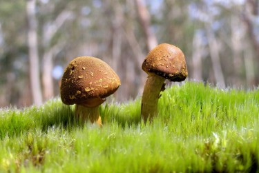 惠州惠城区4私人老板放款：轻松融资的秘密通道